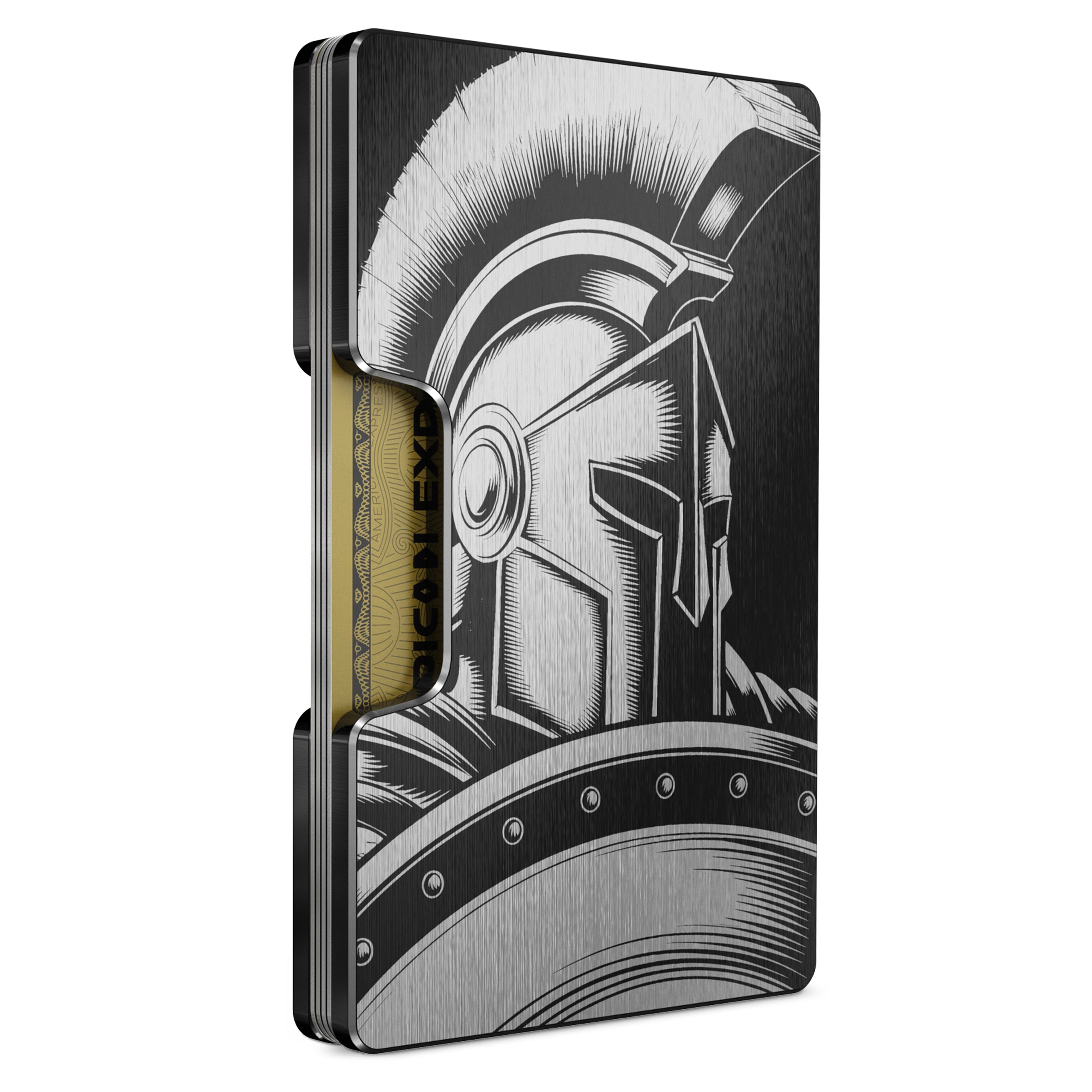 Spartan Soldier