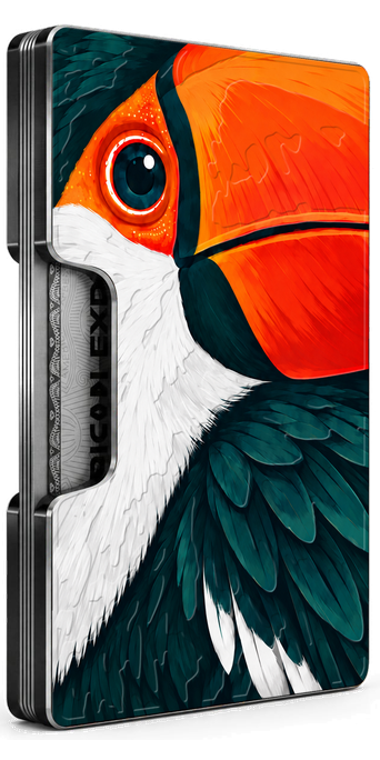 Toucan